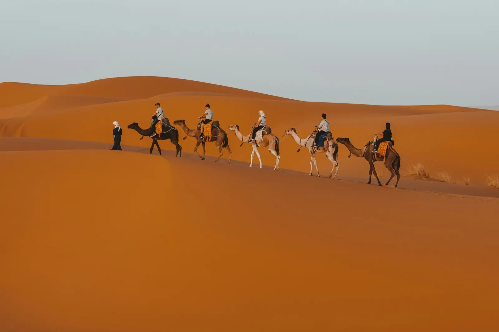 Visit Merzouga Morocco